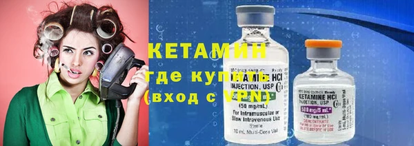 шишки Абаза