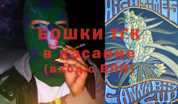 шишки Абаза