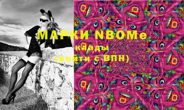 шишки Абаза