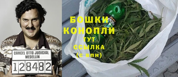 шишки Абаза