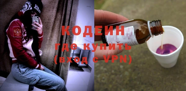 шишки Абаза