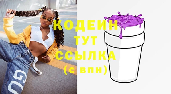 шишки Абаза