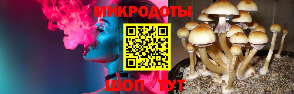 Лосино-Петровский  Галлюциногенные грибы ЛСД  Псилоцибиновые грибы MAGIC MUSHROOMS  Вход с VPN 